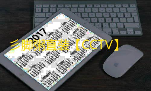 彡脚粥直装【CCTV】 辅助